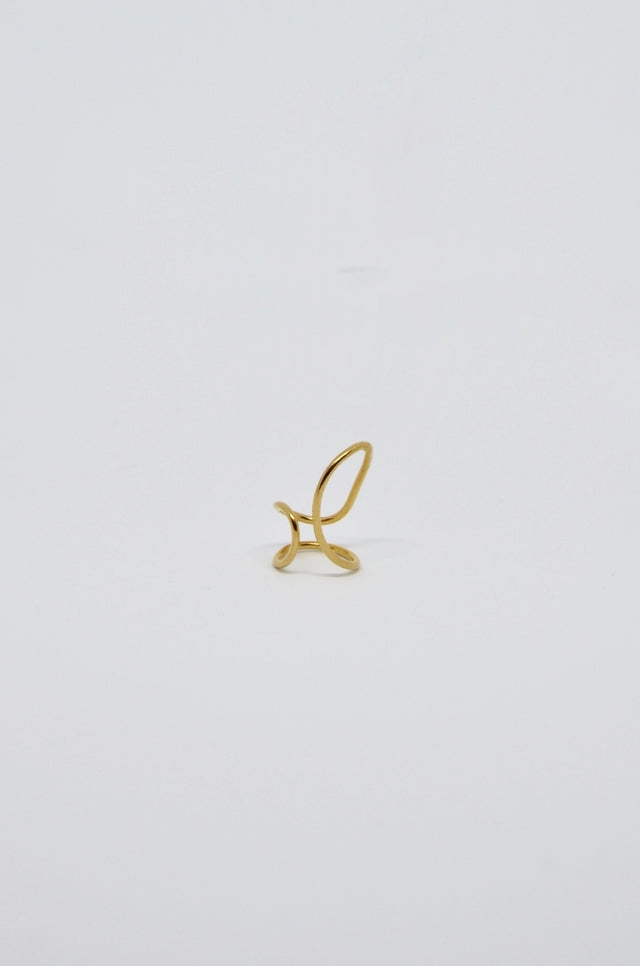 ANILLO G